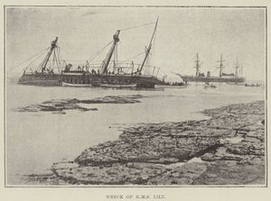 HMS Lily