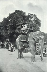 Hayvanat Bahçeleri, Fillere Binen Çocuklar (s/b fotoğraf) by English Photographer