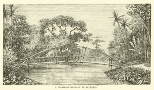 Borneo