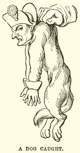 Bir Köpek Yakalandı by English School