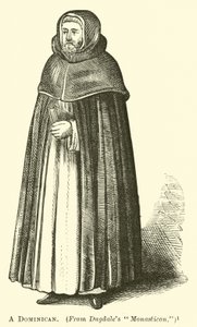 bir Dominik by English School