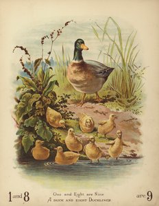 Bir Ördek ve Sekiz Ördek (chromolitho) by English School