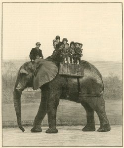 Jumbo
