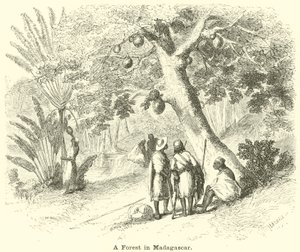 Madagaskar