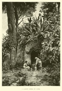 Capri