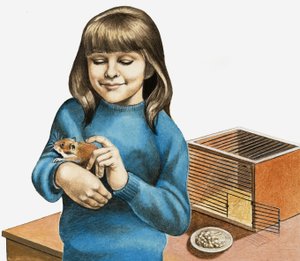 Bir Kız ve Hamsterı by English School
