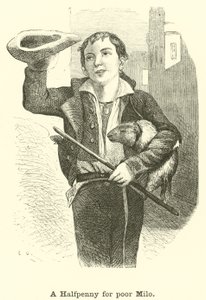 Zavallı Milo için bir Yarım Kuruş by English School