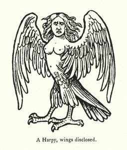 Bir Harpy, kanatları açık (gravür) by English School