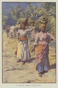 Bir Jamaika muz plantasyonu (renkli lito) by English School