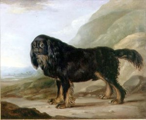 Bir Manzarada Bir Kral Charles Spaniel by English School