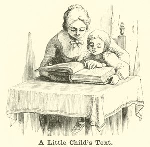 Küçük Bir Çocuk Metni by English School