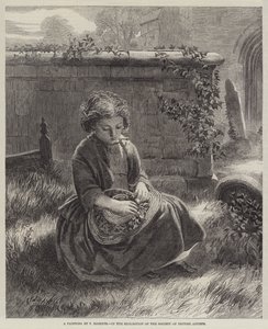 T Roberts