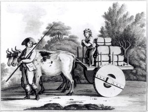 James Murphy tarafından Portekiz Devletinin Genel Görünümünden Bir Portekiz Çiftliği, 1797