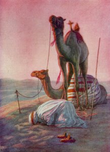 Çölde Bir Dua (renkli taş) by English School