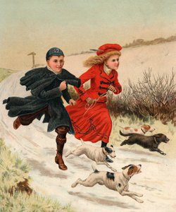 Köpeklerle Bir Koşu by English School