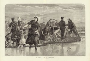 Uskumru Sürüsü, W Duncan