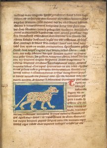 Bir Kaplan, Sloane 3544, f.2