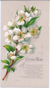 Bir sprey Noel gülü ve bir ayet içeren Viktorya dönemine ait bir Noel kartı, 1880 dolayları by English School