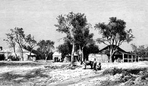 Darling Downs