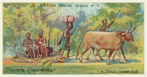 Bir Zulu Arabası by English School