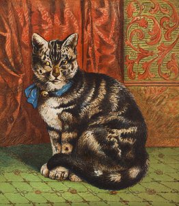 Şık bir kedi (renkli lito) by English School