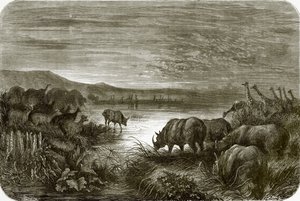 Afrika