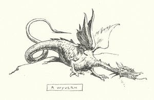 Bir wyvern (gravür) by English School