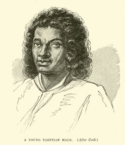 Cook