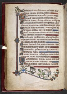 MS 24686, f.14v, Boy on midilli ve şahin av ördeği ekleyin, c.1284-1316 (parşömen) by English School