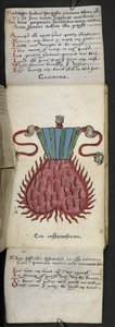MS 57312 f.10 Oyun kitabını ekleyin (parşömen üzerine mürekkep ve renk) by English School