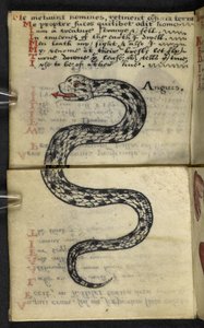 MS 57312 f.4 Oyun kitabını ekleyin (parşömen üzerine mürekkep ve renk) by English School
