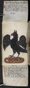 MS 57312 f.8 Oyun kitabını ekleyin (parşömen üzerine mürekkep ve renk) by English School