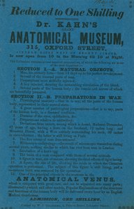 Dr Khans Grant Anatomik Müzesi İlanı by English School