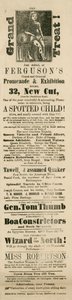 Fergusons Grand ve Oriental Promenade and Exhibition, 32 New Cut, Lambeth, Londra İlanı by English School