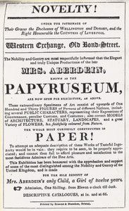 Papirüs sergisi için reklam by English School