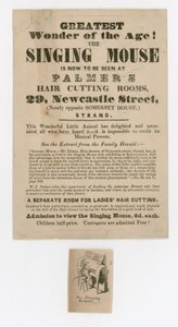 Şarkı Söyleyen Fare Reklamı by English School