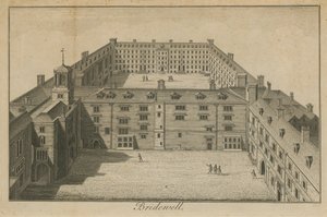 Bridewell Sarayı