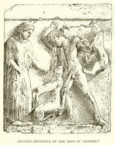 Artemis Köpekleri tarafından yutulan Aktaion by English School