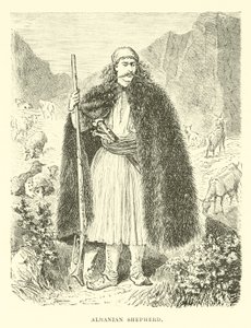 Arnavut çoban by English School