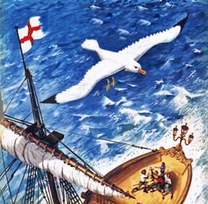 Albatros by English School