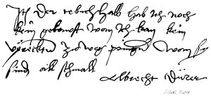 Albert durer by English School