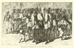 Molucca Adaları