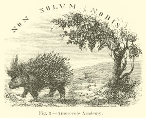 sevgi akademisi by English School