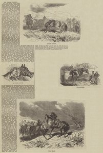 Bir At Kariyeri (gravür) by English School