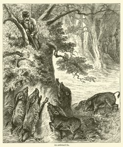 Garip bir düzeltme (gravür) by English School