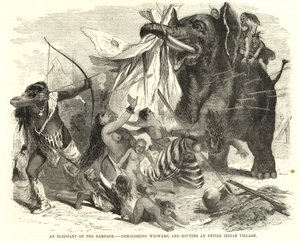 Azgınlıkta bir fil by English School