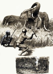 Dünyanın Kadim Halkları: Ormanın Küçük Tuzakçıları by English School