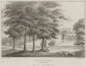 Angley Evi