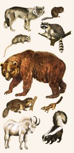 Kanada