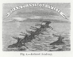 Animosi Akademisi (gravür) by English School